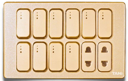 TANI JADE GOLD SERIES 10 SWITCHES + 2 SOCKETS